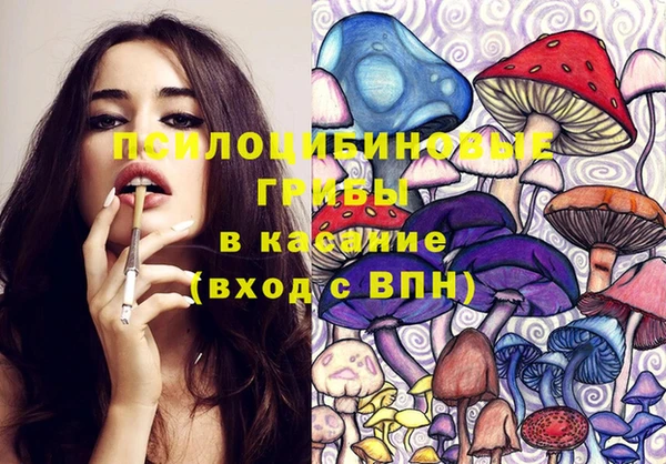 apvp Михайловск