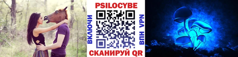 закладка  Заозёрск  кракен ТОР  Псилоцибиновые грибы GOLDEN TEACHER 